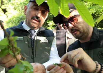 600 yırtıcı böcek doğaya salındı