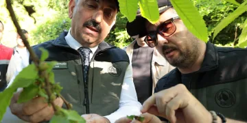 600 yırtıcı böcek doğaya salındı