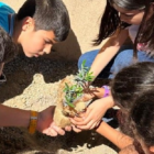 İlkokul öğrencileri fidan dikti