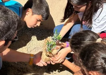 İlkokul öğrencileri fidan dikti