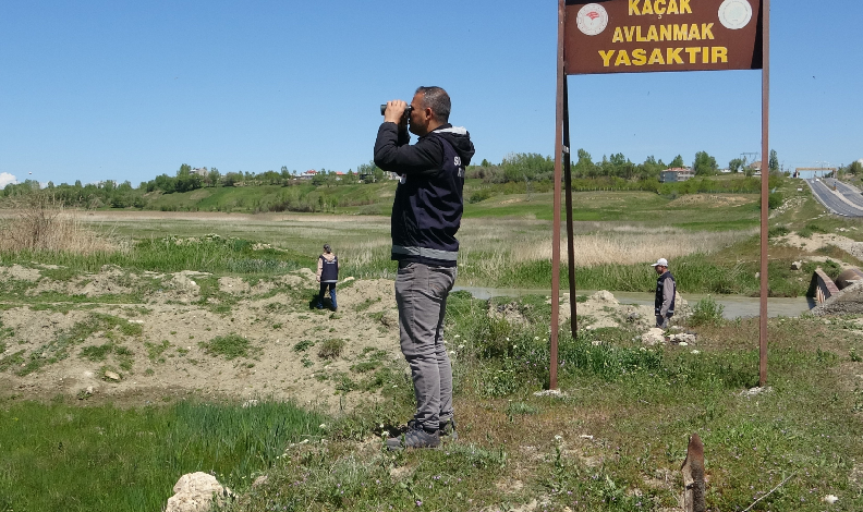 İnci kefali yoğun denetimlerle korunuyor
