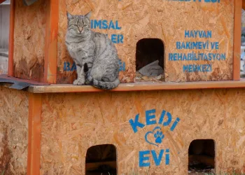 Sekmen; “Her can bize emanet”