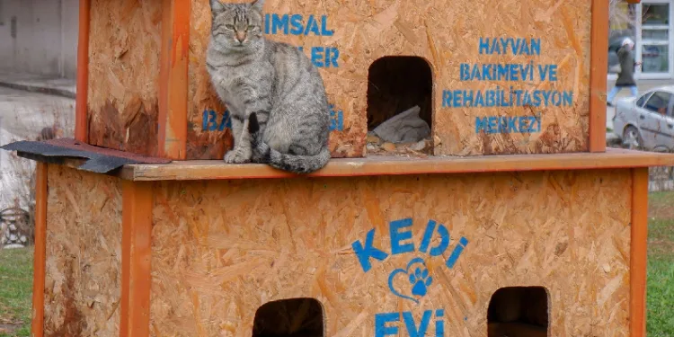 Sekmen; “Her can bize emanet”