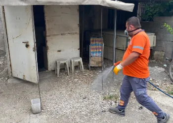 Mut'ta ilaçlama çalışması