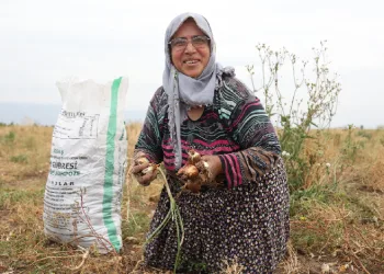 Soğanı hayrına dağıttığını duyan geldi