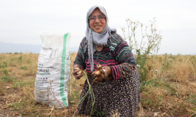 Soğanı hayrına dağıttığını duyan geldi