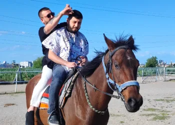 At üzerinde tıraş