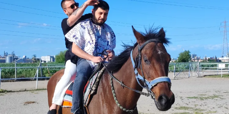 At üzerinde tıraş