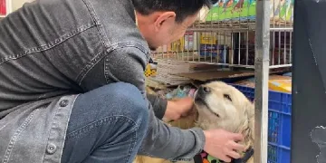 Esnafın maskotu: "Diren" köpek