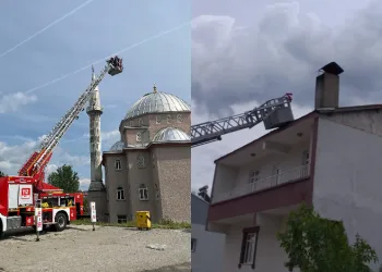 Leylek yuvası yıkım nedeniyle taşındı