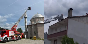 Leylek yuvası yıkım nedeniyle taşındı