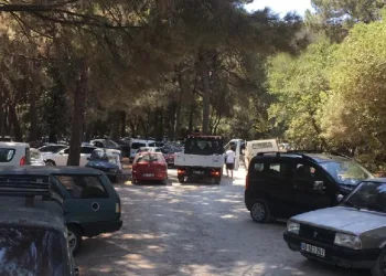 Milli Park’a günlük araç giriş kapasitesi belirlendi