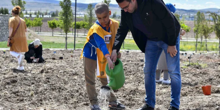 Meşe fideleri doğayla buluştu