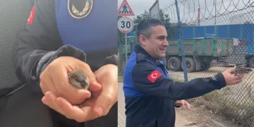 Uçamayan serçenin imdadına yetiştiler