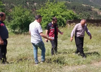 Çekirge ile mücadele başlatıldı