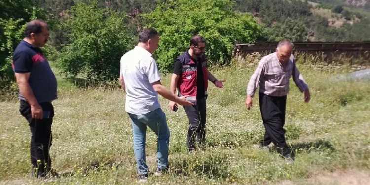Çekirge ile mücadele başlatıldı