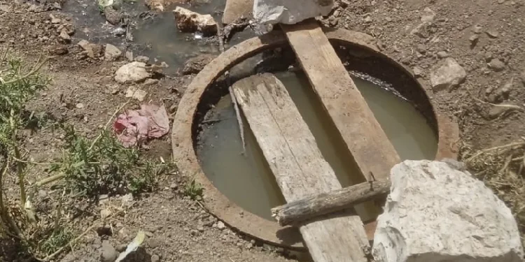 Taşan kanalizasyon tehlike saçıyor