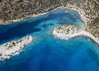 İklim değişikliği, denizlerdeki biyoçeşitliliği etkiledi