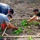 Gediz’de 2023 tohumları fidan oldu