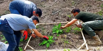 Gediz’de 2023 tohumları fidan oldu