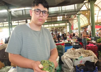 enginar soyarak fenomen oldu