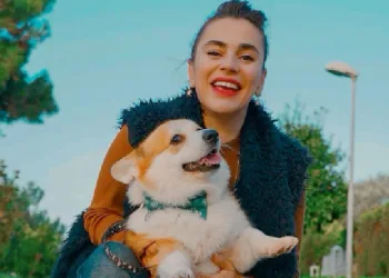 Sokak hayvanları düzenlemesine Ceylan Ertem’den tepki!