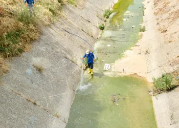 Adana’da sinek ve haşere ile mücadele