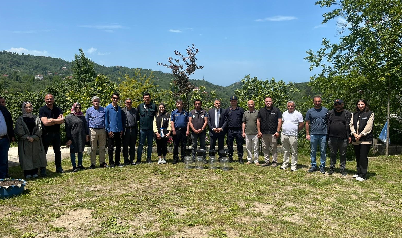 Kahverengi Kokarcaya tuzak projesi