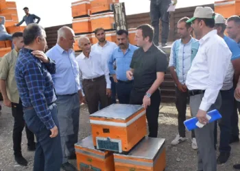 arıcılara organik kovan dağıtımı