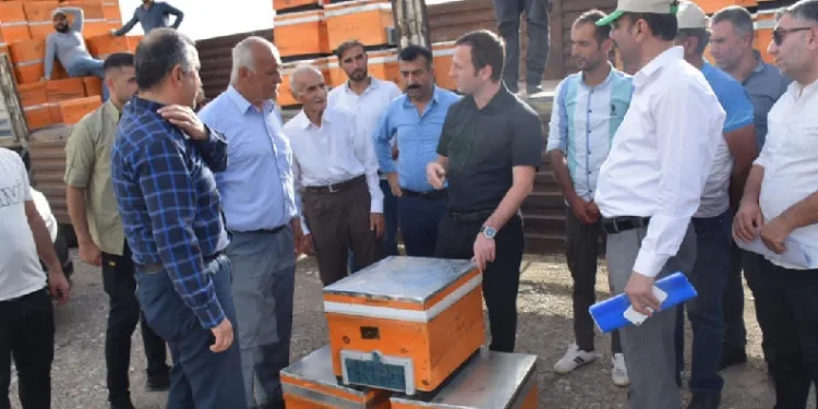 arıcılara organik kovan dağıtımı
