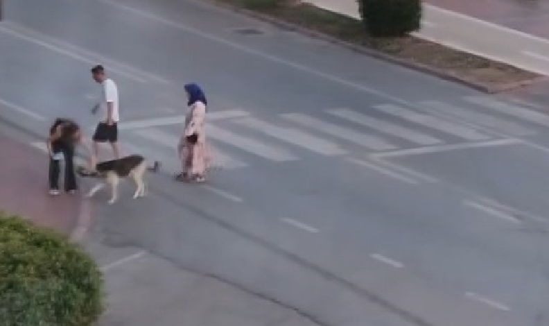 korkan köpeği dakikalarca beklediler