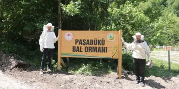 Yığılca’ya yeni bal ormanı