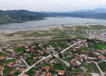 Aydın, yılanbalığı çalıştayına ev sahipliği yaptı