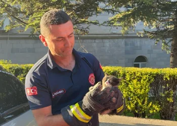 Araç motorundan kurtarıldı, itfaiye motoruna girdi