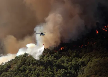 Muğla’da 31 Ekim’e kadar ormanlara giriş yasaklandı