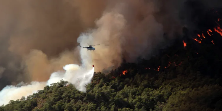 Muğla’da 31 Ekim’e kadar ormanlara giriş yasaklandı
