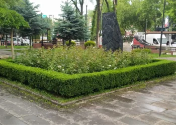 Sincan Belediyesinden ağaçlara bakım