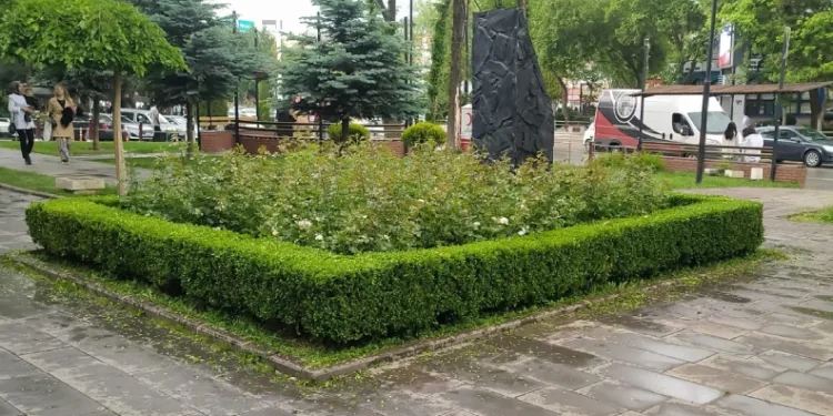Sincan Belediyesinden ağaçlara bakım