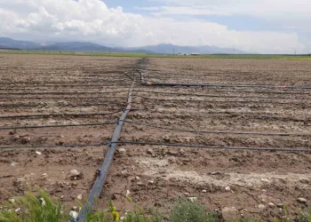Tarımsal üretimde ‘su’ merkeze alınacak