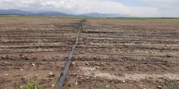 Tarımsal üretimde ‘su’ merkeze alınacak