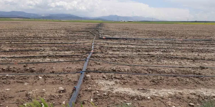 Tarımsal üretimde ‘su’ merkeze alınacak