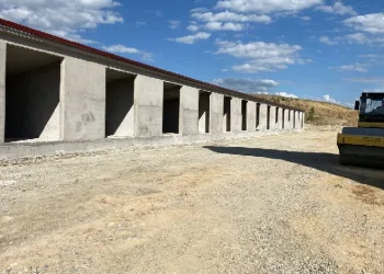 Sorgun damak çatlatacak