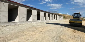 Sorgun damak çatlatacak