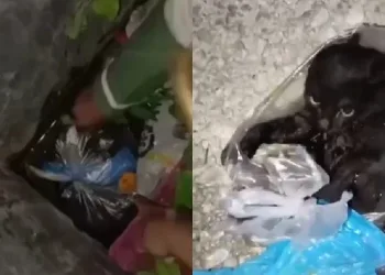 Her şeye rağmen hayata tutundu