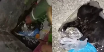 Her şeye rağmen hayata tutundu