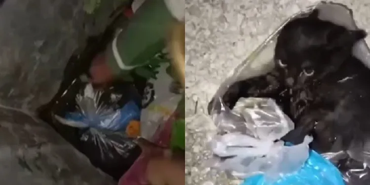 Her şeye rağmen hayata tutundu