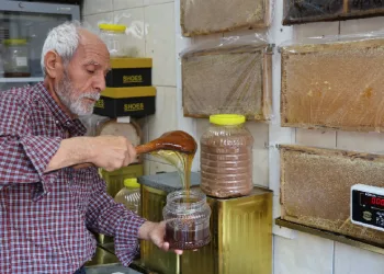 Balcı Nusret amca