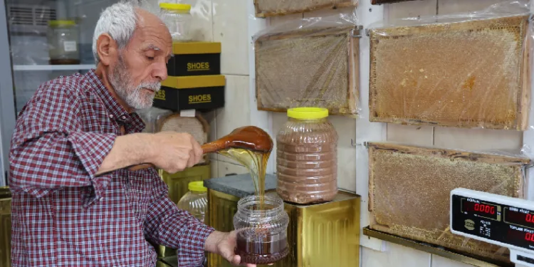 Balcı Nusret amca