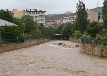 Oltu Çayı coştu