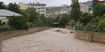 Oltu Çayı coştu